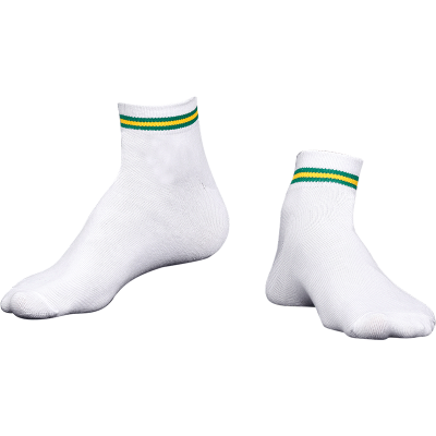 school-logo-socks-2